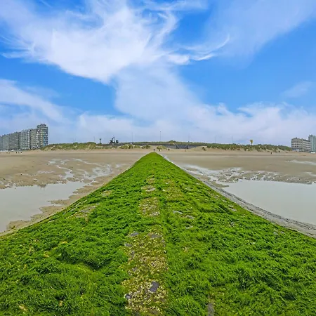 On Zeedijk With Sea View, Cleaning Included Apartment *