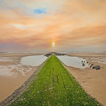 On Zeedijk With Sea View, Cleaning Included *
