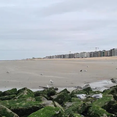Apartment On Zeedijk With Sea View, Cleaning Included *