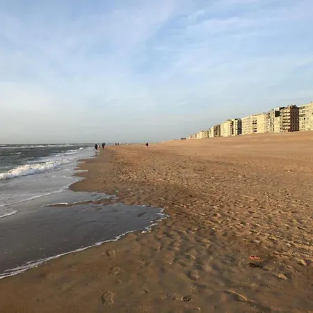 On Zeedijk With Sea View, Cleaning Included Apartment