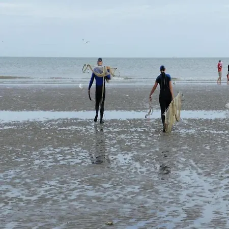 On Zeedijk With Sea View, Cleaning Included Apartment *