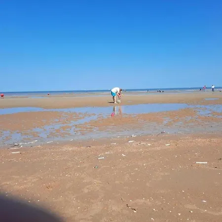 On Zeedijk With Sea View, Cleaning Included